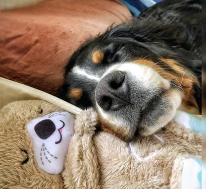 Calming Otter Plush for Pets