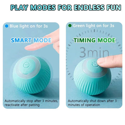 Interactive Rolling Pet ball