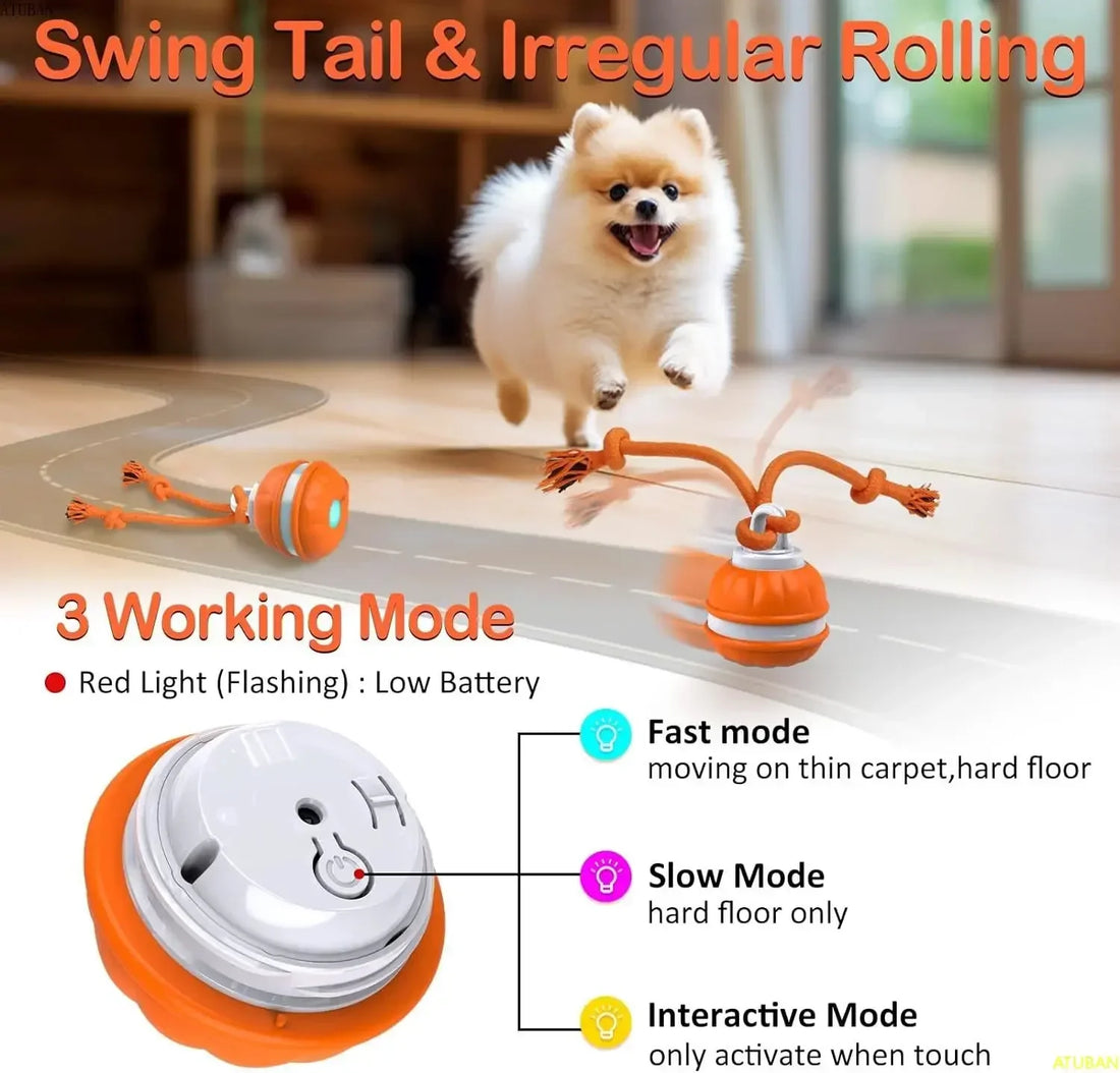 Automatic Pets Rolling Ball | Pets Rolling Ball | Nexio Shop