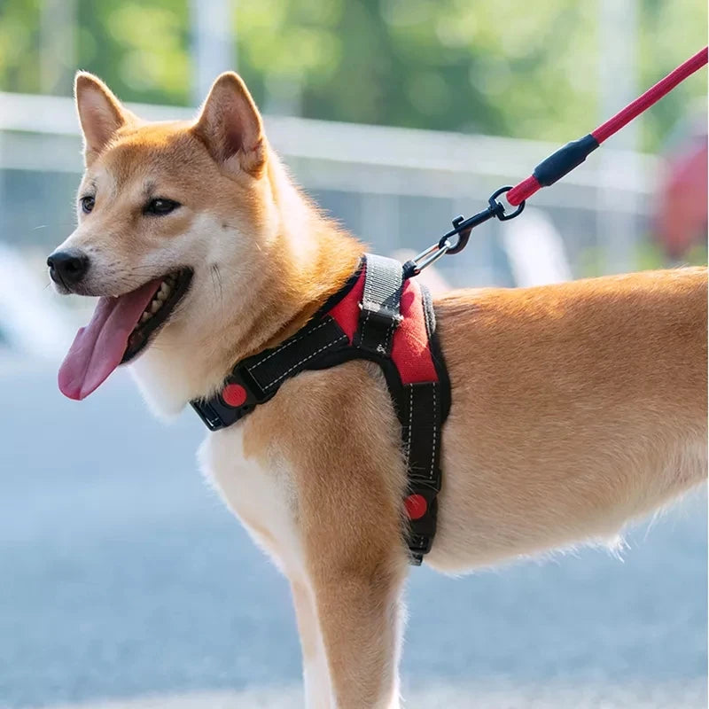 USB Led Dog Harness