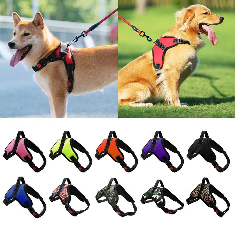 USB Dog Harness | LED Dog Harness | Nexio Shop