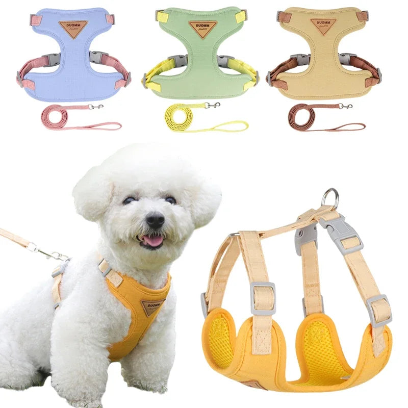 Pets Harness Leash Set | Pet Leash Set | Nexio Shop