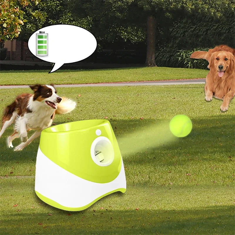 Interactive Pet Catapult Toy | Pet Catapult Thrower | Nexio Shop