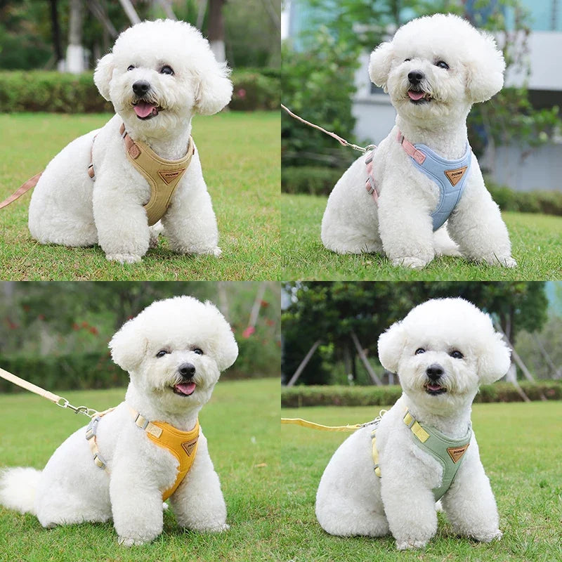 Pets Harness Leash Set | Pet Leash Set | Nexio Shop