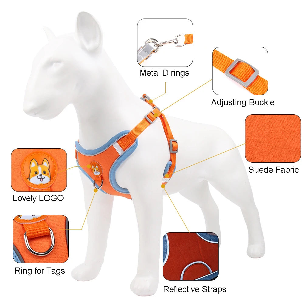 No Pull Pet Reflective Harness and Leash Set