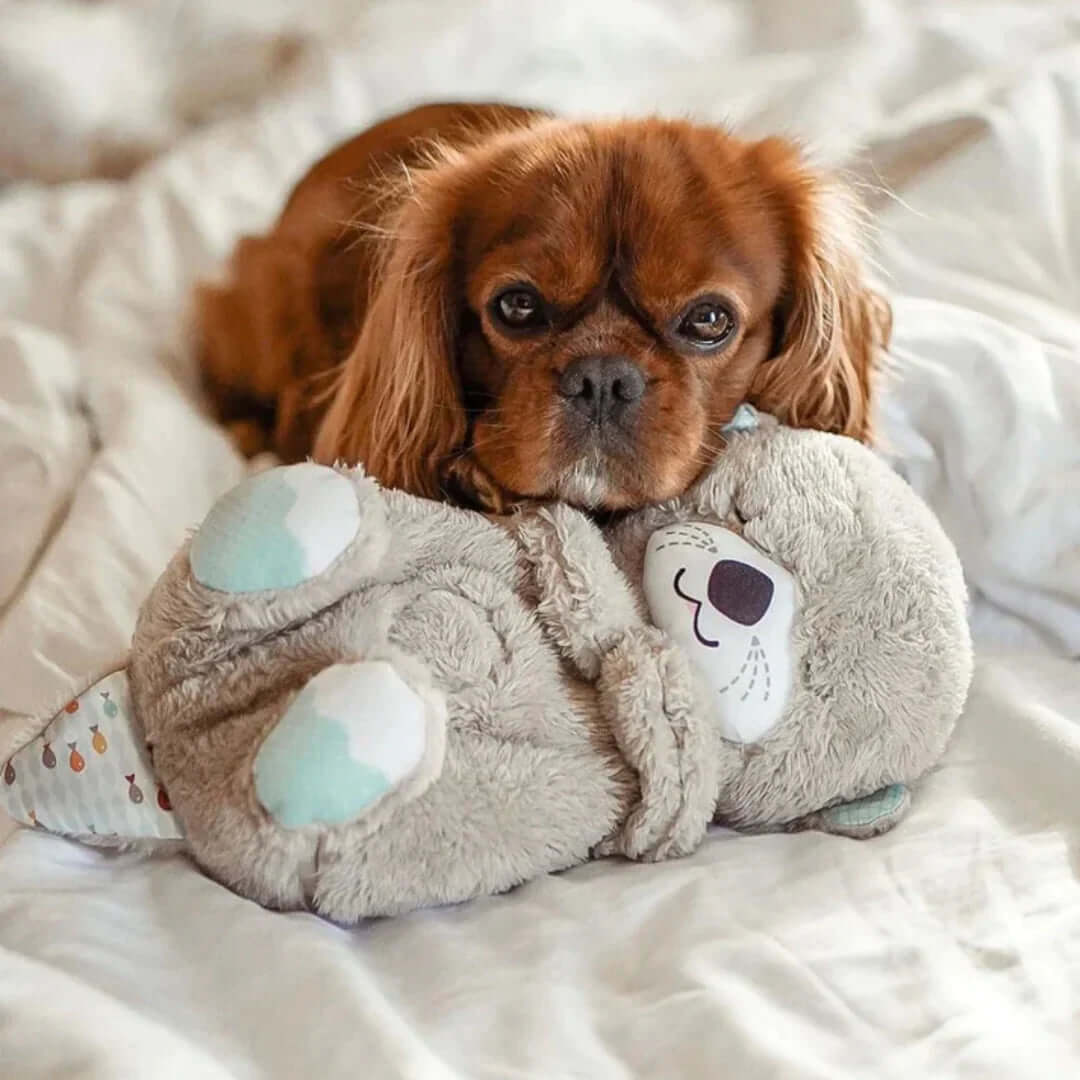 Calming Otter Plush for Pets